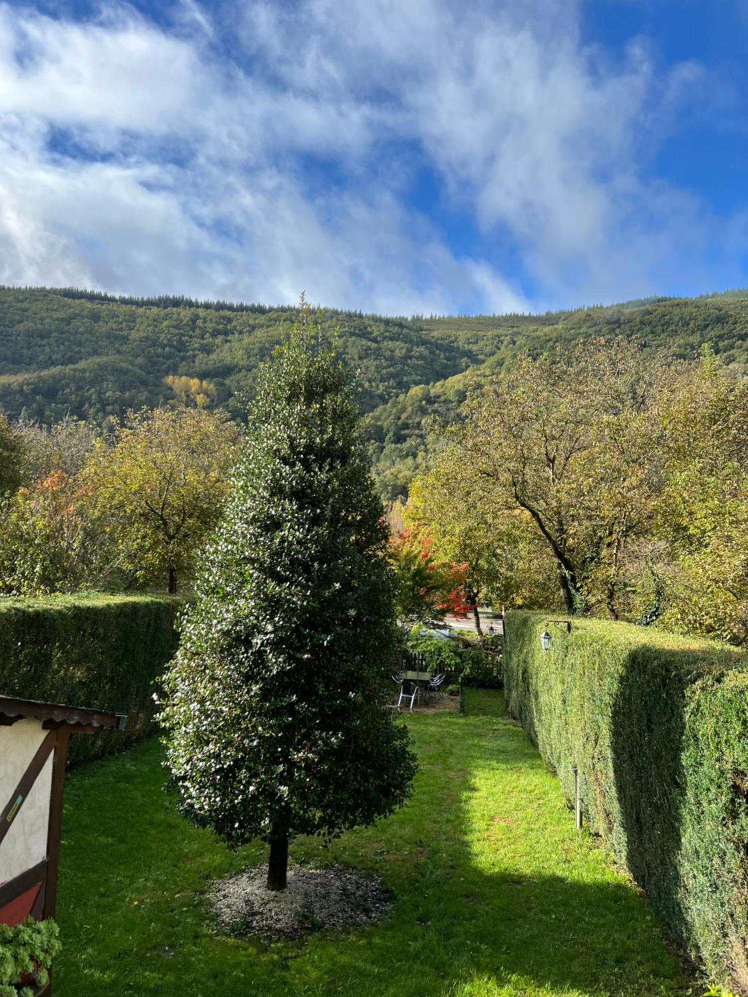 Garden * Pereje